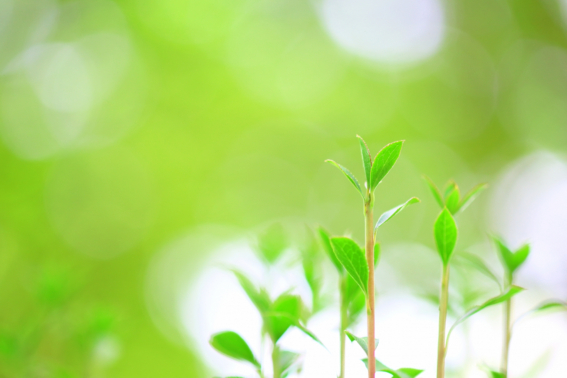 空調機器の熱交換機器・圧入用フィン・フィン差込機設計・製造の特機工業有限会社